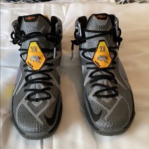 Nike LeBron 12 Flight by Nike